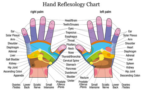 Reflexology for Events